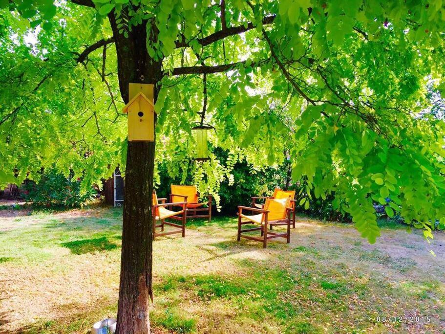 La Frapperie Bed & Breakfast La Pommeraie-sur-Sevre Exterior photo