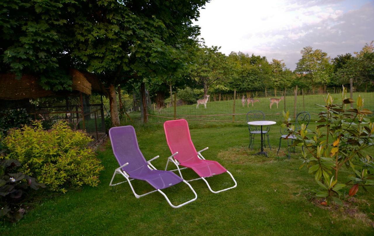 La Frapperie Bed & Breakfast La Pommeraie-sur-Sevre Exterior photo